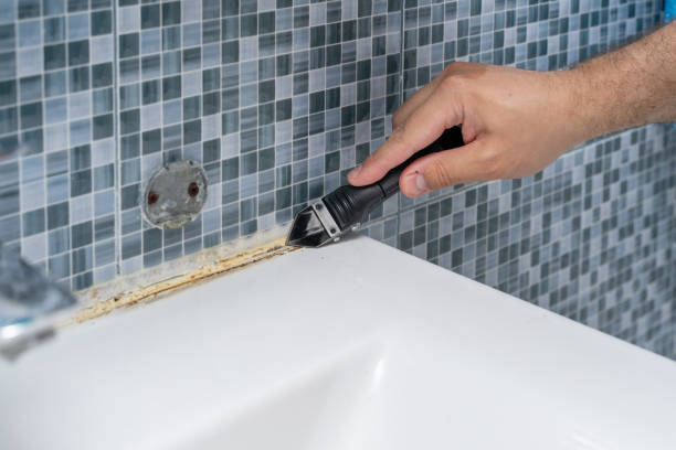 Best Local Mold Removal Service  in Wood Dale, IL